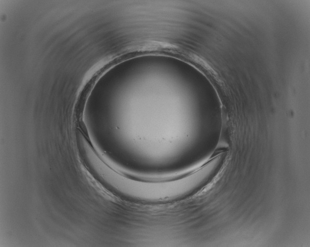 X0000073731122200608171222