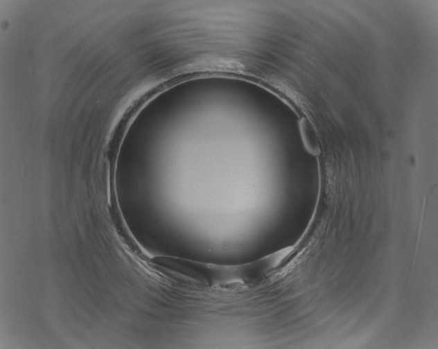 X0000073731123200608171222