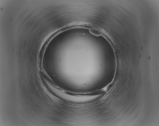 X0000073731124200608171222