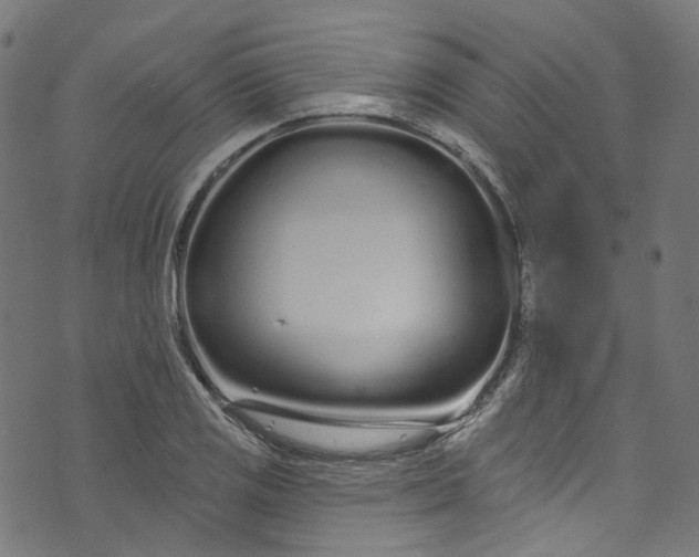 X0000073731125200608171222