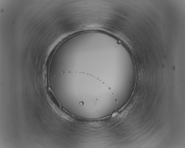 X0000073731126200608171222