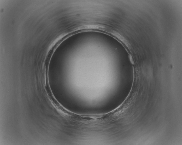 X0000073731127200608171222