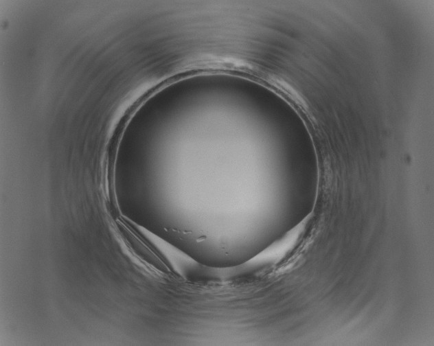 X0000073731128200608171222