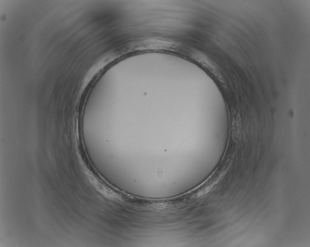 X0000073731130200608171222