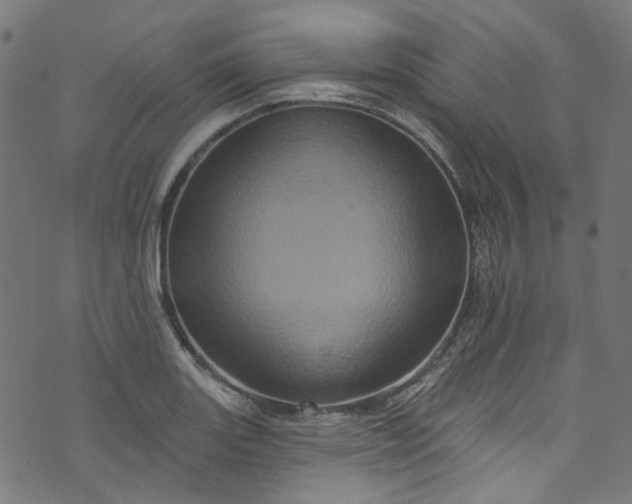 X0000073731131200608171222