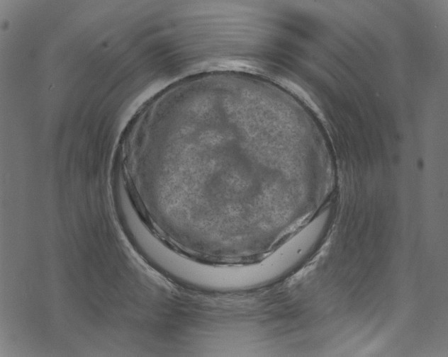 X0000073731133200608171222