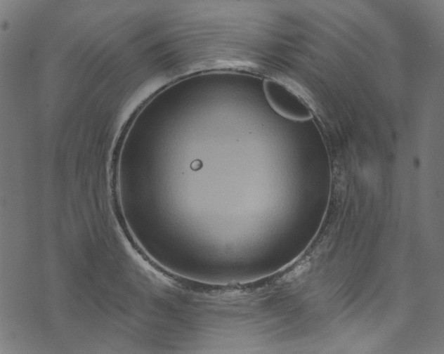 X0000073731135200608171222