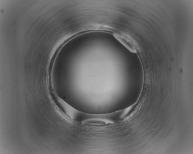 X0000073731136200608171222