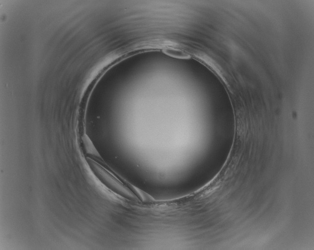 X0000073731139200608171222