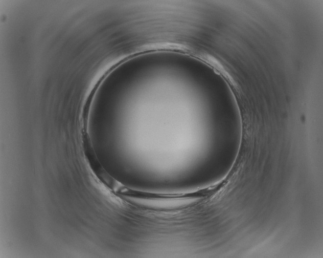 X0000073731140200608171222