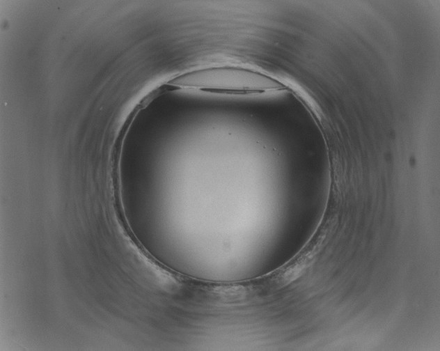 X0000073731142200608171222