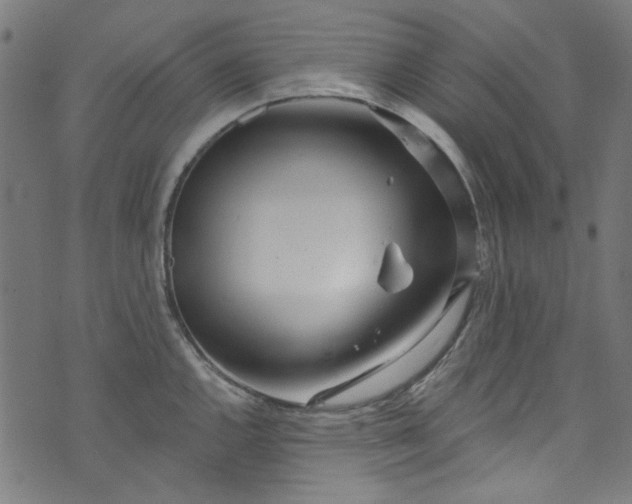 X0000073731144200608171222