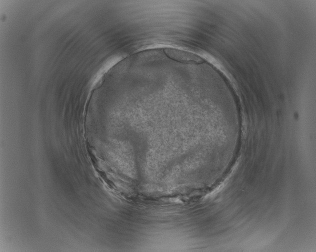 X0000073731145200608171222