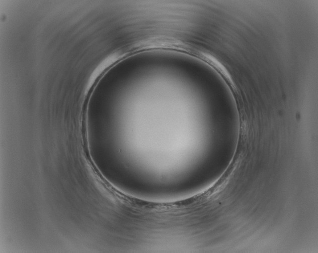 X0000073731146200608171222