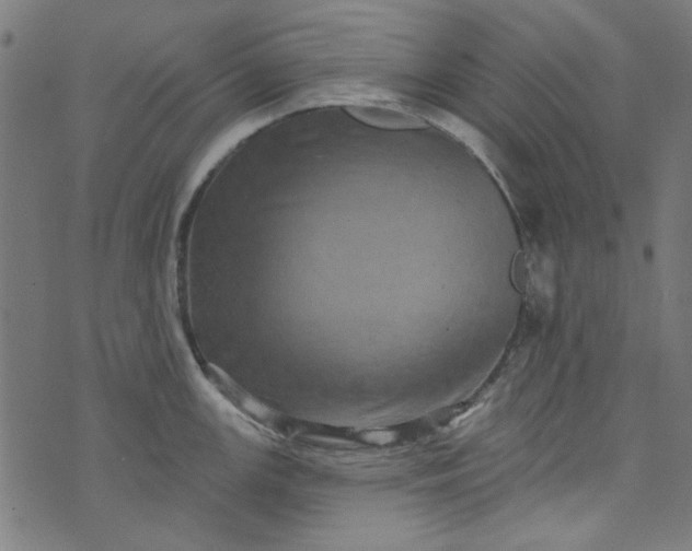 X0000073731147200608171222