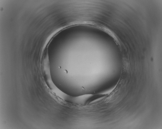 X0000073731148200608171222