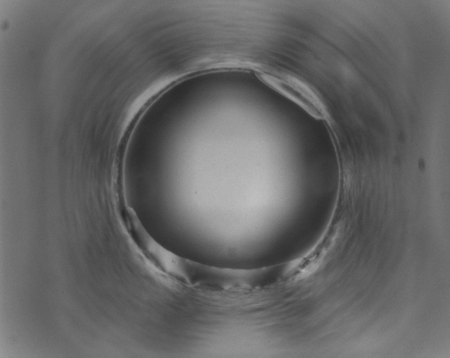 X0000073731149200608171222