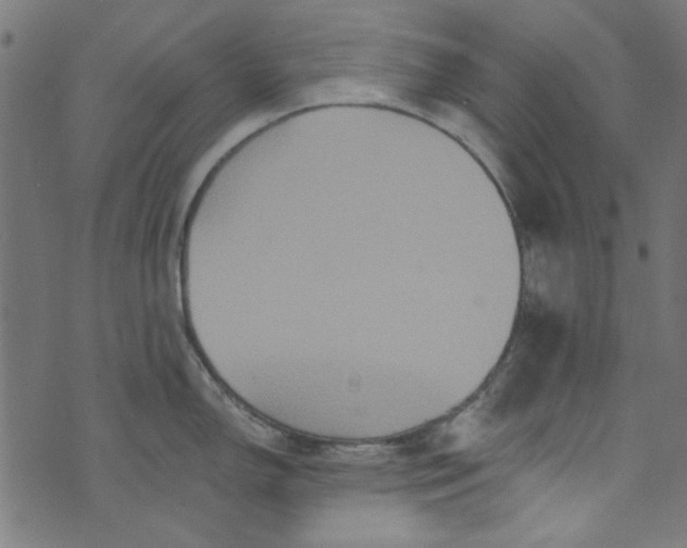 X0000073731150200608171222