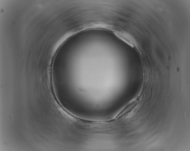 X0000073731151200608171222