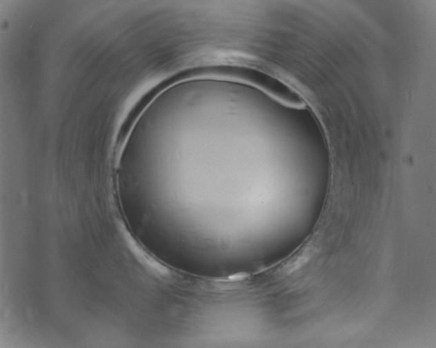 X0000073731152200608171222