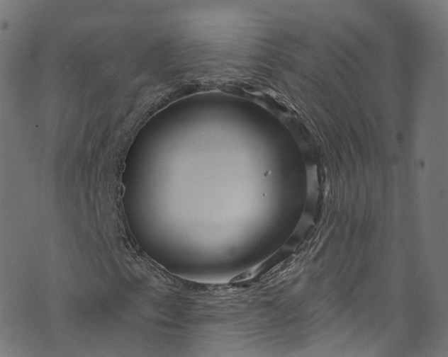 X0000073731153200608171221