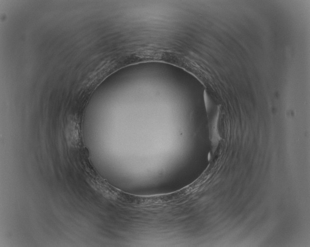 X0000073731154200608171221