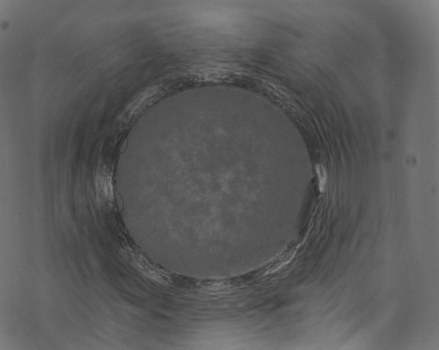 X0000073731155200608171221