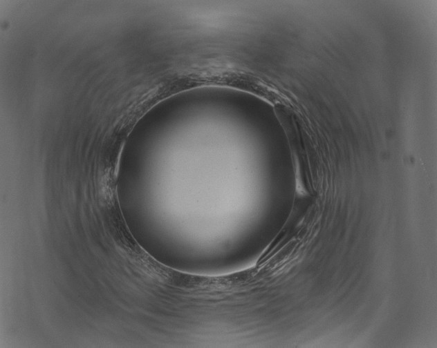 X0000073731156200608171221