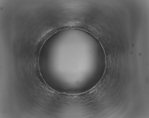 X0000073731158200608171221