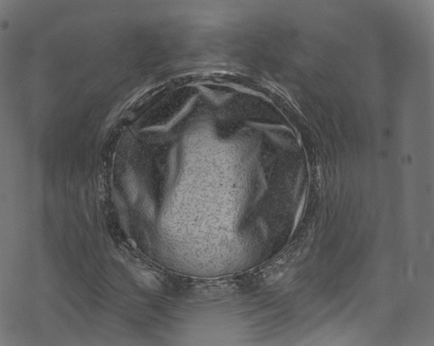 X0000073731159200608171221