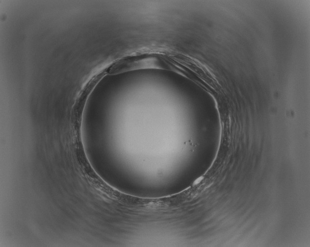 X0000073731160200608171221