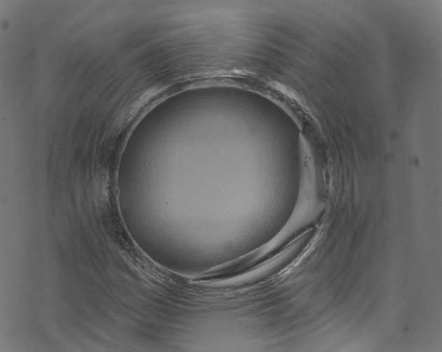 X0000073731161200608171221