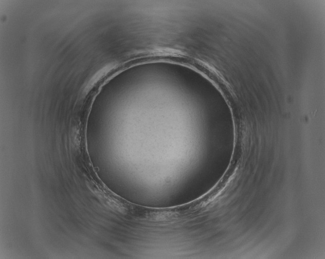 X0000073731163200608171221