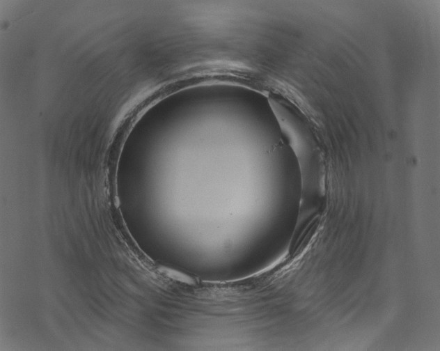 X0000073731164200608171221