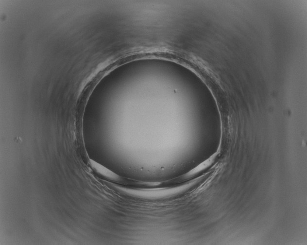 X0000073731165200608171221