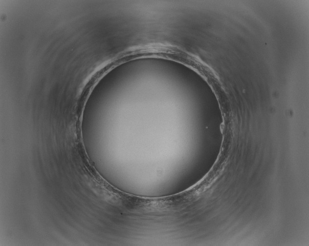 X0000073731166200608171221