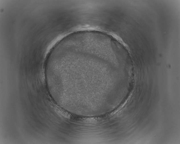 X0000073731167200608171221