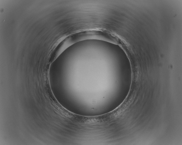 X0000073731169200608171221