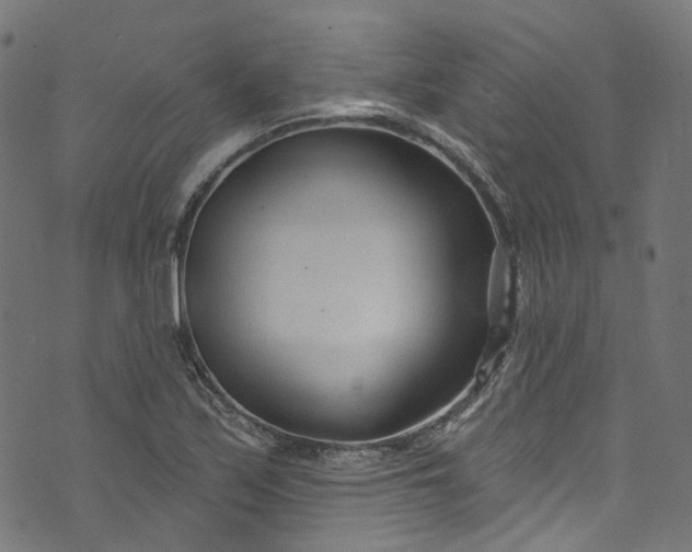 X0000073731171200608171221