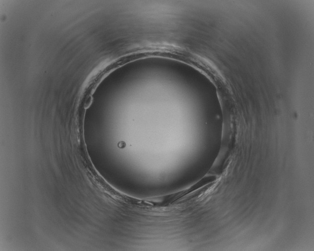 X0000073731172200608171221