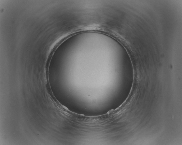 X0000073731174200608171221