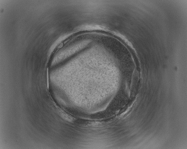 X0000073731175200608171221