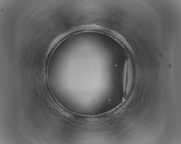 X0000073731176200608171221