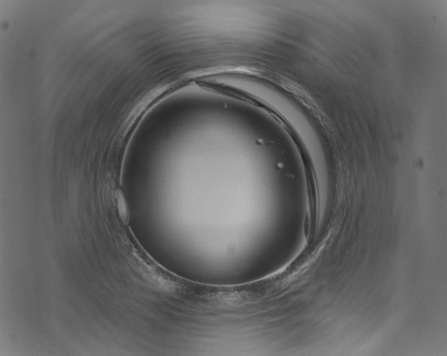 X0000073731177200608171221