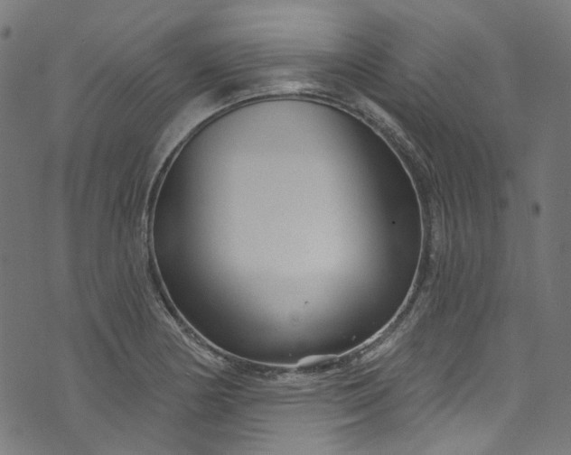 X0000073731178200608171221