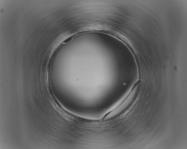 X0000073731179200608171221