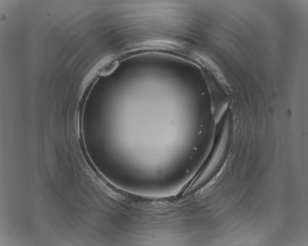 X0000073731180200608171221