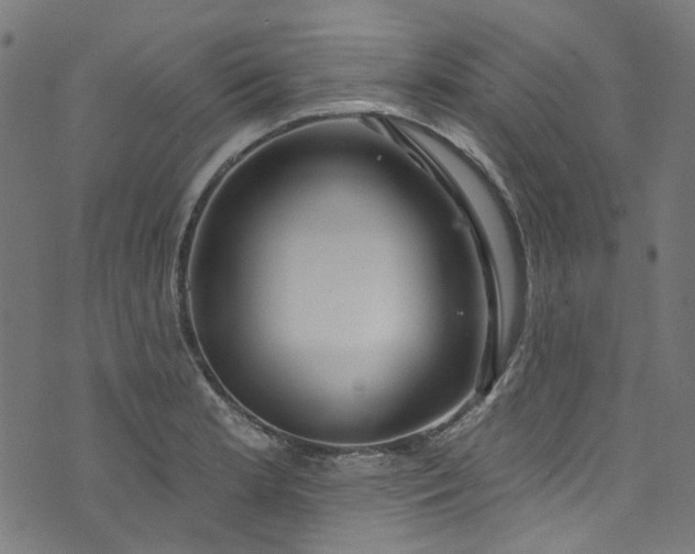 X0000073731181200608171221