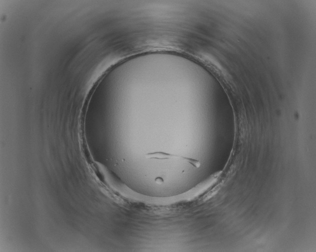 X0000073731182200608171221