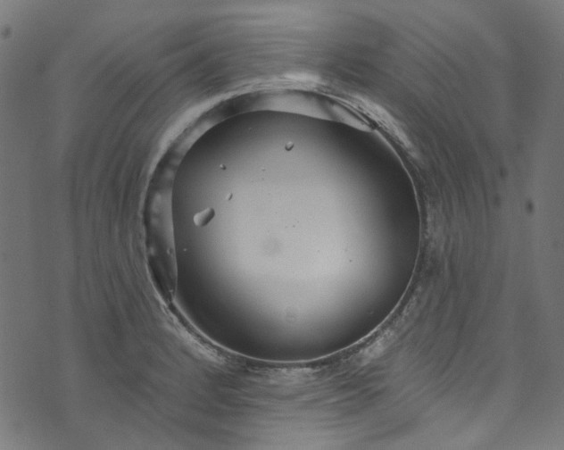 X0000073731184200608171221